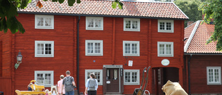 Museet i Linköping mest besökt under 2019