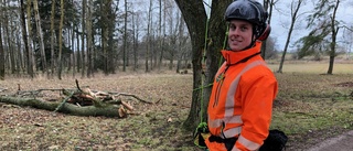 Arvid startade eget i växande bransch