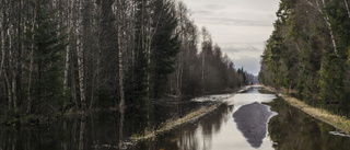 Översvämmade vägar lockar ut Upplänningarna