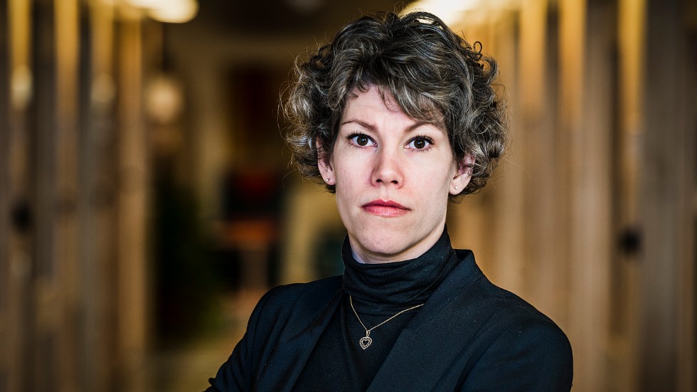 Kammaråklagare Anna Väppling vill att en man, som misstänka för mord i Malmberget 2015, ska frihetsberövas.