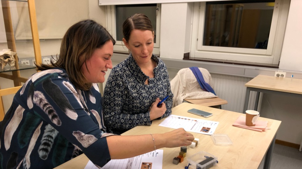 Anna Lundberg och Åsa Svärdsudd, lärare i Rosvik, trodde att eleverna skulle uppskatta Spacecraft Materials Kit.