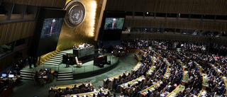FN är arenan för nutidens utmaningar