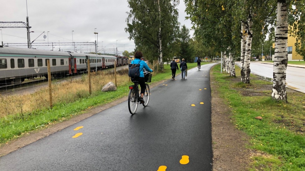 De nya vägmarkörerna på cykelbanan vid Prästgatan ska underlätta för gång- och cykeltrafikanterna i Luleå.