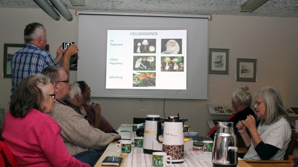 Vilka svampar ska man undvika att plocka? Det berättade svampkonsulent Gunilla Ångström- Balla när Motala Biologiska förening hade månadsmöte.