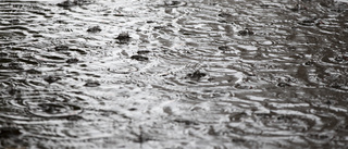 Rekordmycket regn i Hälleforsnäs