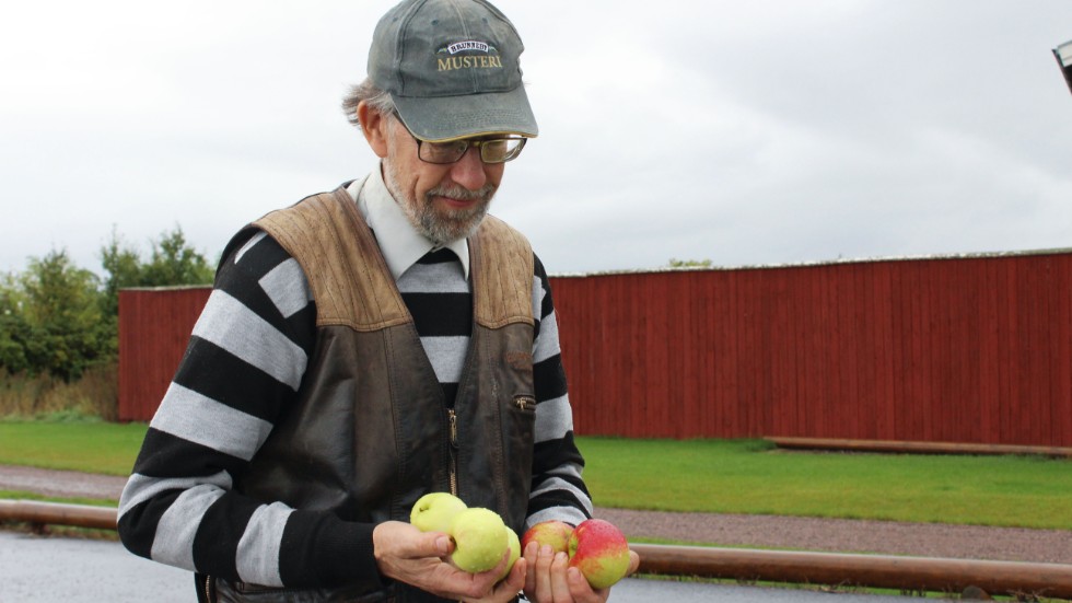 Årets äppleskörd är bland de sämsta någonsin, men Gunnar Kjellin på Brunneby Musteri vet att de kan variera kraftigt från år till år.