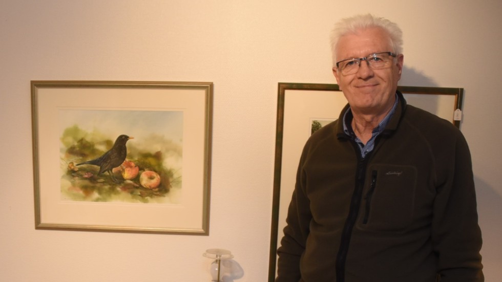 Bo Lundwall målar djur och natur. Här med en koltrast som är ett hans senaste bidrag till utställningen på Bälterska Gården.