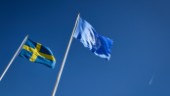 I dag: Sverige förhörs kring samepolitiken 