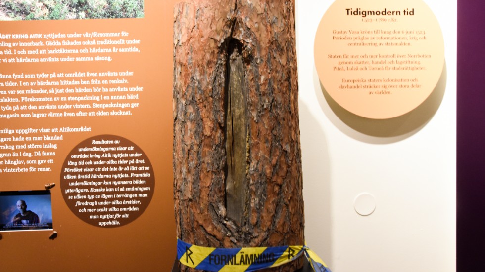 Området kring Aitik utanför Gällivare har under senaste åren undersökts av Norrbottensmuseum inför gruvverksamhetens expansion. De lämningar som hittats är främst härdar och barktäkter. Barken var ett livsviktigt kosttillskott och har daterats från sent 1600-tal.