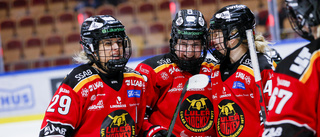 Nieminen sköt Luleå/MSSK till final