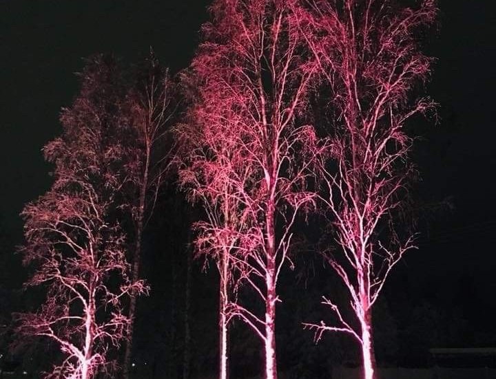 På grund av stölder lyser inte trädbelysningen i Övertorneå. Det är oklart om lamporna kommer att kunna ersättas i år, enligt Övertorneå kommun som meddelar att man har polisanmält händelserna.