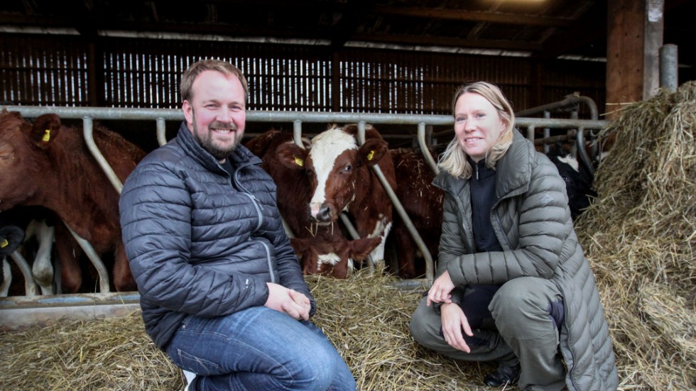 Vid Kromsta Lantbruk driver Rickard och Erica Eriksson köttdjursuppfödning, med hjälp av Rickards föräldrar och farföräldrar samt barnen Astrid och Nisse. Torkåret 2018 har märkbara effekter för dem även i år.