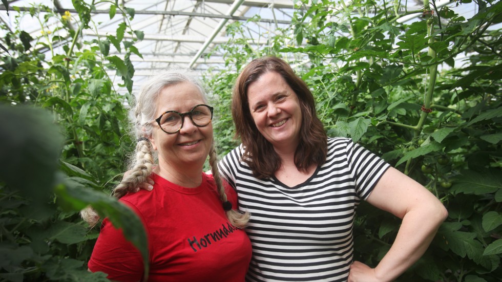 "Vi vill skapa framtidshopp", säger Hornuddens ägare Karin Sjöstedt och Michaela Paul som arbetstränat där i tre år – och tagit initiativ till projektet.