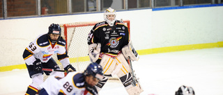 Luleå Hockey lånar forward från rivalen
