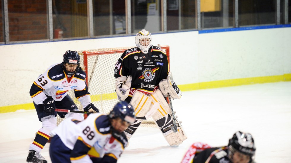 Luleå Hockey/MSSK lånar en sorward från Djurgården.