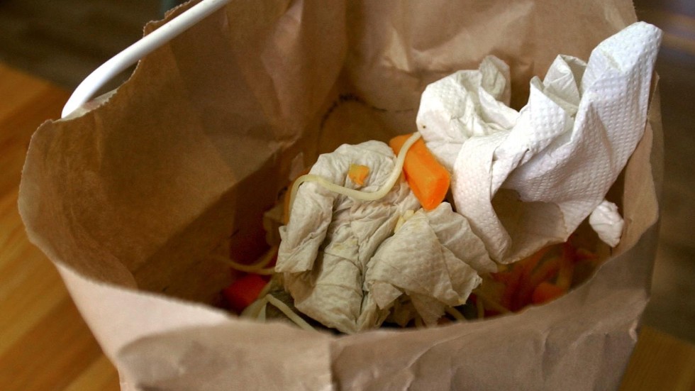Papperspåsarna för matavfall fungerar dåligt, skriver Britt Eriksson.