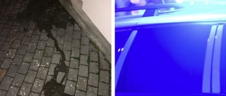 "Jag tycker inte att jag förargade någon"