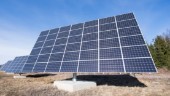 Uthyrning av solcellsparksmarken ifrågasätts