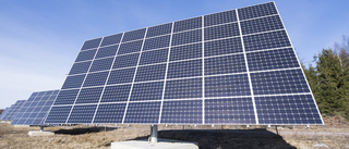 Uthyrning av solcellsparksmarken ifrågasätts