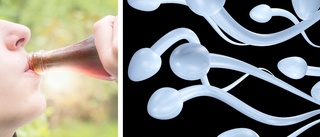 Sockerchockade spermier simmar snabbare