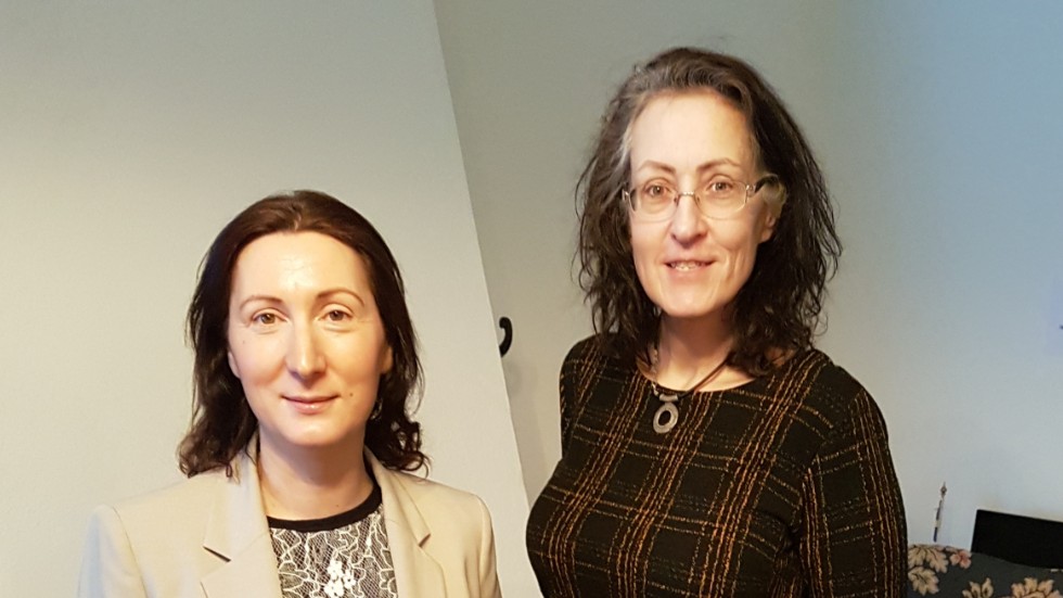 Sandra Karlsson och Magdalena Jones har tidigare haft uppdrag som oppositionsråd respektive nämndledamot för SD i Norrköping. 