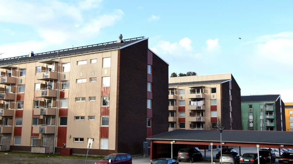 Om studenter ska stanna kvar i Luleå efter sin utbildning går det inte att strunta i Porsön så som Luleå kommun har gjort, menar Thomas Söderström (L).