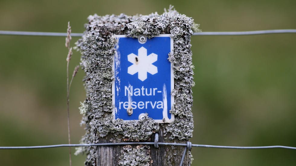 Naturreservat är ett vänligt sätt att skydda värdefull natur. 