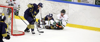 Spelarbetyg för ESK Hockey mot Wings