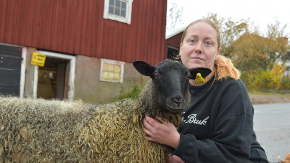 Madelene Svensson har öppnat en äggbod i det gamla sädesmagasinet på gården i Karlstorp. Till sommaren vidareutvecklar hon och sambon verksamheten med en gårdsbutik med kött från gården.