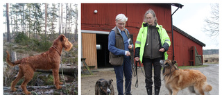 Många deltar i sökandet efter hunden Boris