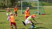 Katrineholmsklubbar stoppar ungdomsträningar