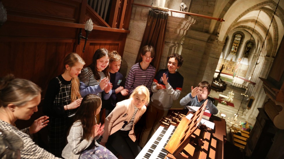 Ellinor Helling, Agnes Werkander,  Midas Stiernelov,  Malte Rödland, Isak Axelsson, Arvid Kåring,  Alma och Nora Tibell är delar av Mikroorganisterna, här spelar de på orgeln i Visby domkyrka.