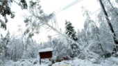 Stort strömavbrott i länet     