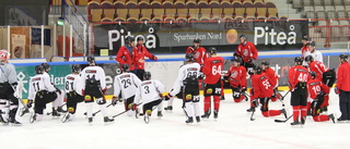 Ragga odds på Piteå Hockey till kvalserien