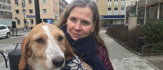 Hunden Svea är försvunnen sedan en dryg vecka