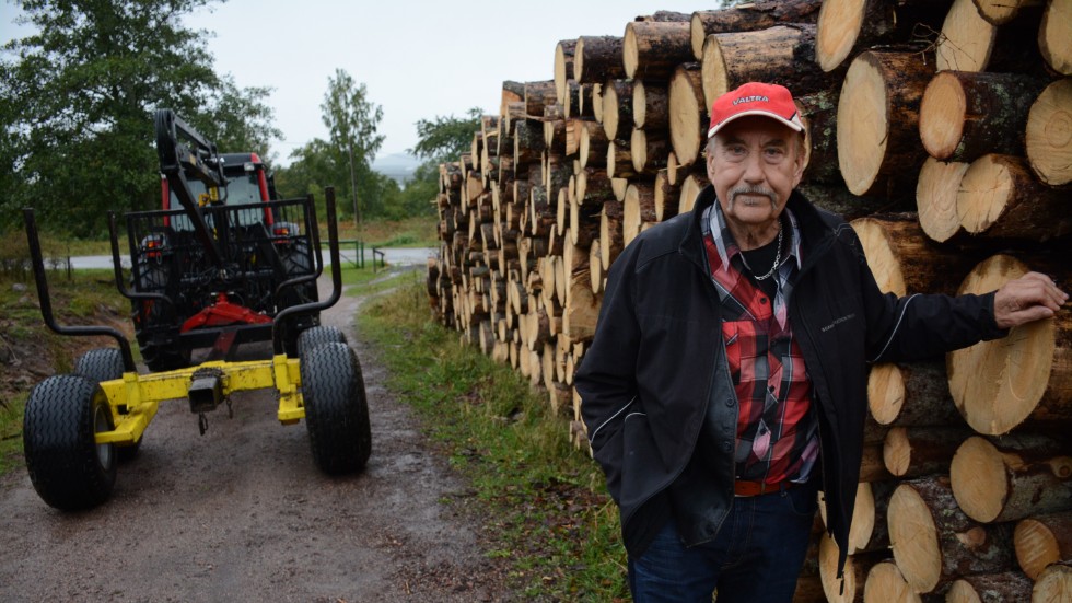 Med motorsåg och traktor har skogsarbetare Gösta Samuelsson, 81 år, lagt ihop 100 kubik massaved från träd som angripits av granbarkborren.