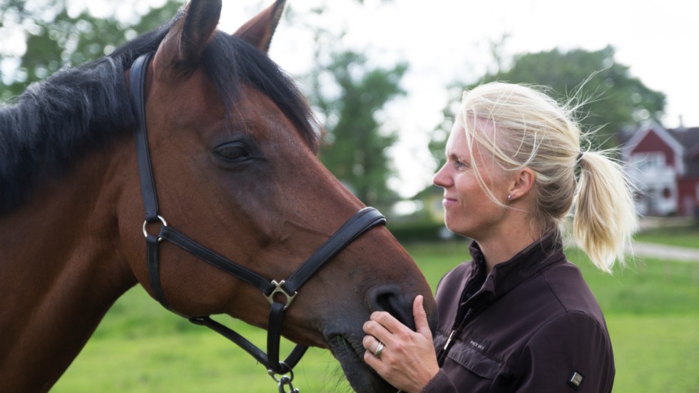 En stor del av fritiden ägnar Susanna Oom Samuelson åt hästarna hemma på Hansta gård. Tillsammans med hästbästisen Soda Pop har hon rönt stora framgångar som hoppryttare.