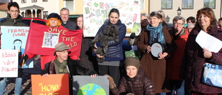 Manifestation för klimatet i Gamleby