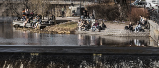 Ovanligt varm januarivecka i Uppsala  