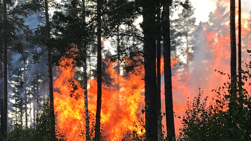 Branden i en rishög i närheten av Framsteget i Hultsfred rubriceras nu som mordbrand, med hänsyn till att det var stor spridningsrisk till ett område "med större värden".