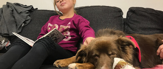 Skolhunden Lyra lockar elever till läsning