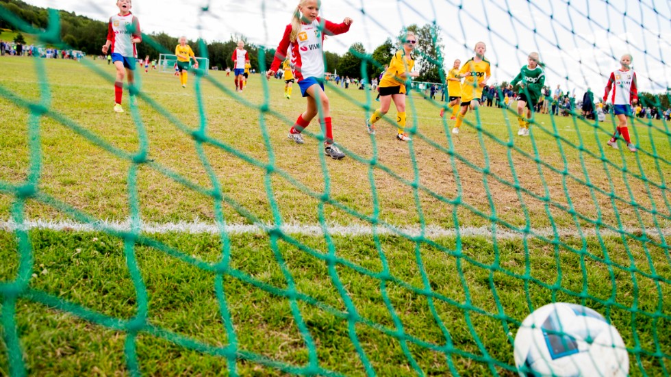 Bara 20 procent av sponsorpengarna till idrotten i Småland går till flickors idrott.