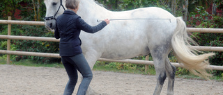 Akademisk ridkonst - en dans med hästen