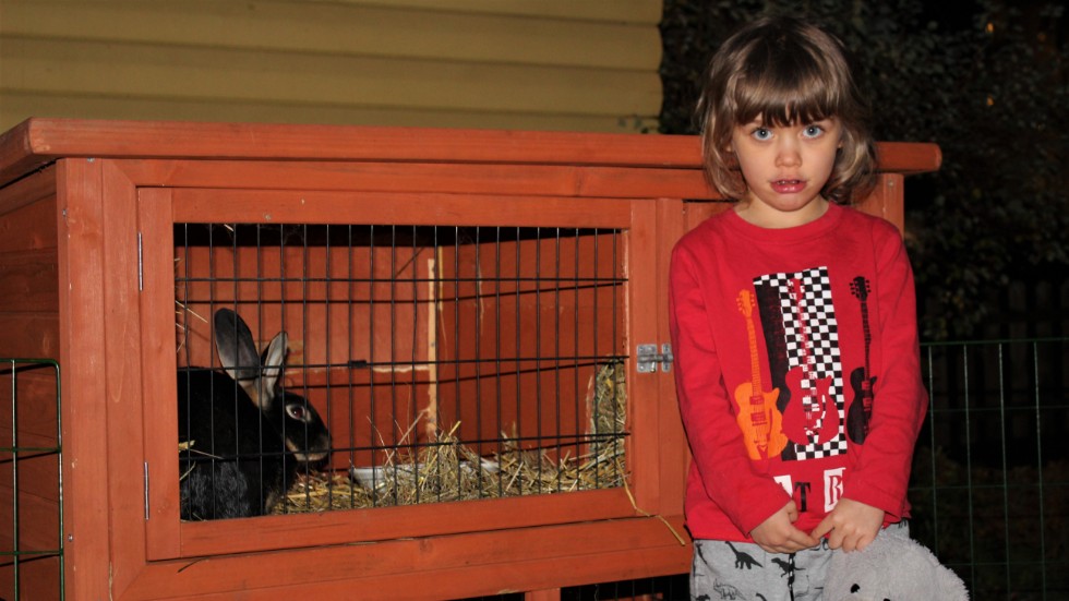 Dottern Julia Sjöberg står vid buren där de kvarvarande två kaninerna, Barbie och Cindy, bor. Familjen vill inte längre släppa ut dem utan uppsyn om dagarna.