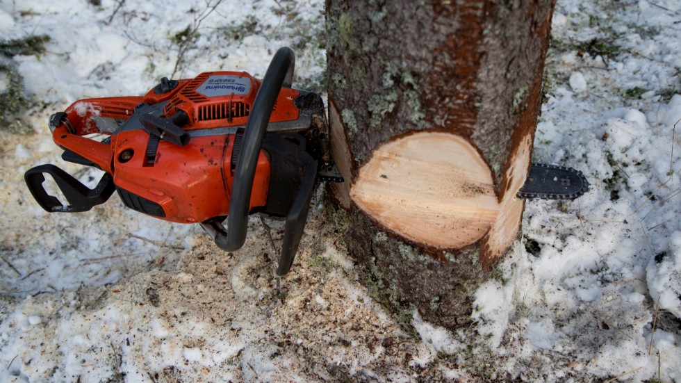 En Vansöbo förlorade motorsågar och andra verktyg när okönd gärningsman tog sig in i snickarboden.