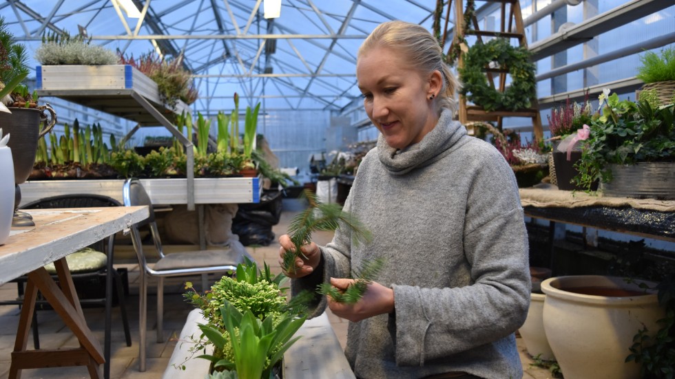 Sofia Segerström planterar en julgrupp till försäljningen.