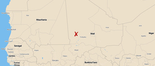 Soldater dödade i terroranfall i Mali