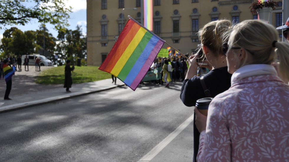 Sverigedemokraterna anser inte att Uppsala kommun bör flagga i regnbågens färger. 
