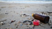 Förslag: Stoppa plasten för havets skull