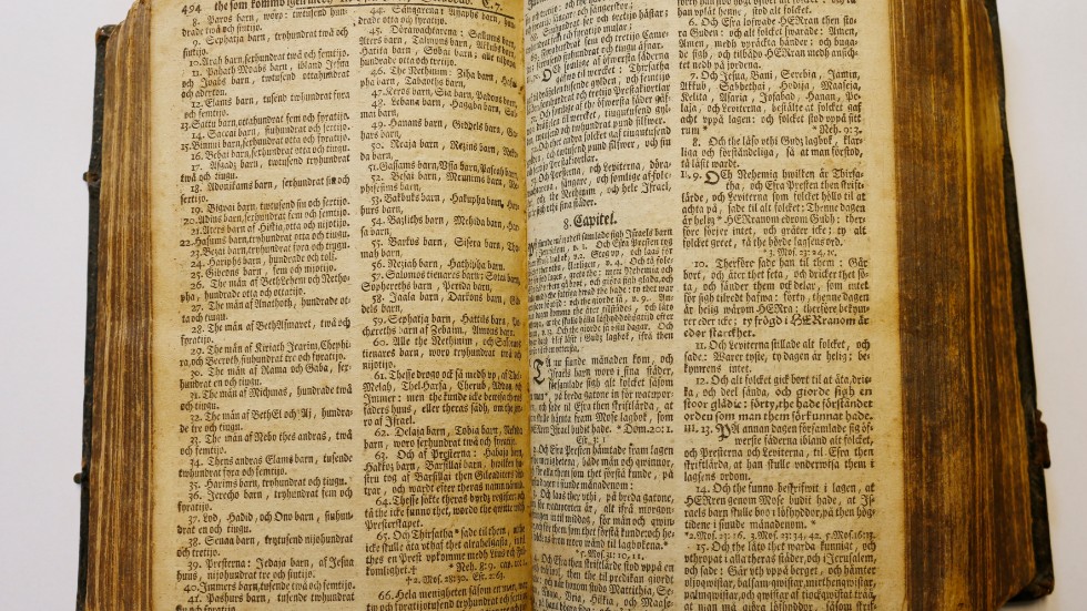 Bibel är tryckt 1729 och är inte i mintskick. Men den har åldrats med stor värdighet ändå.